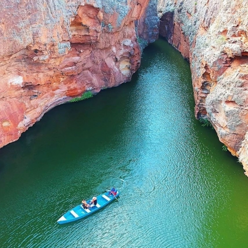 Caninos de São Francisco